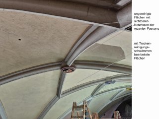 Erweiterte Pflegemaßnahme an der Raumschale der Pfarrkirche St. Vitus Gammelsdorf